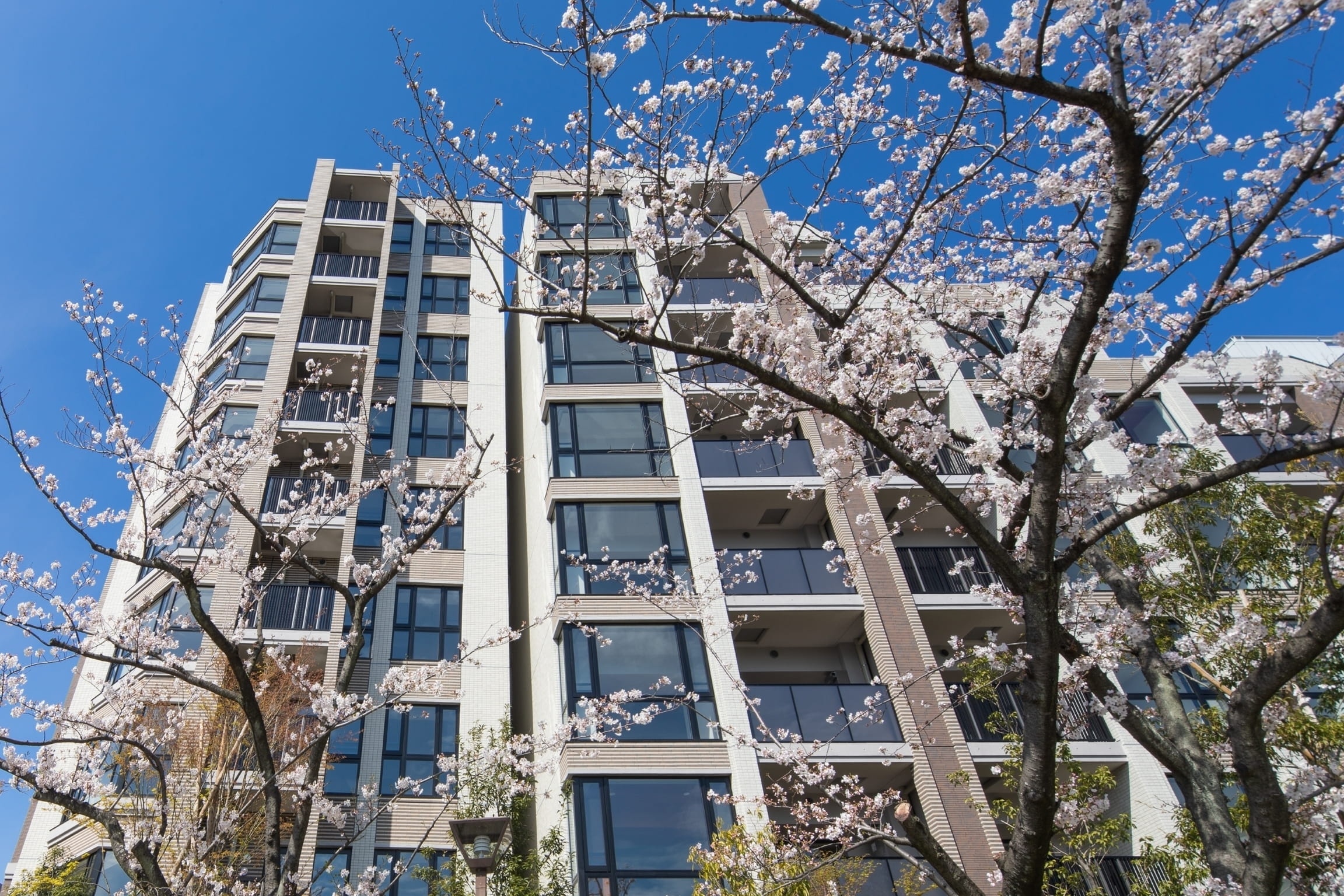 ザ・パークハウス東陽町翠賓閣-h