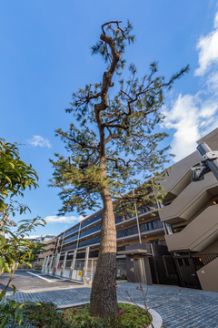 ザ・パークハウス住吉川-h