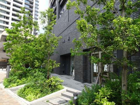 クレヴィアタワー大井町 THE RESIDENCE-h