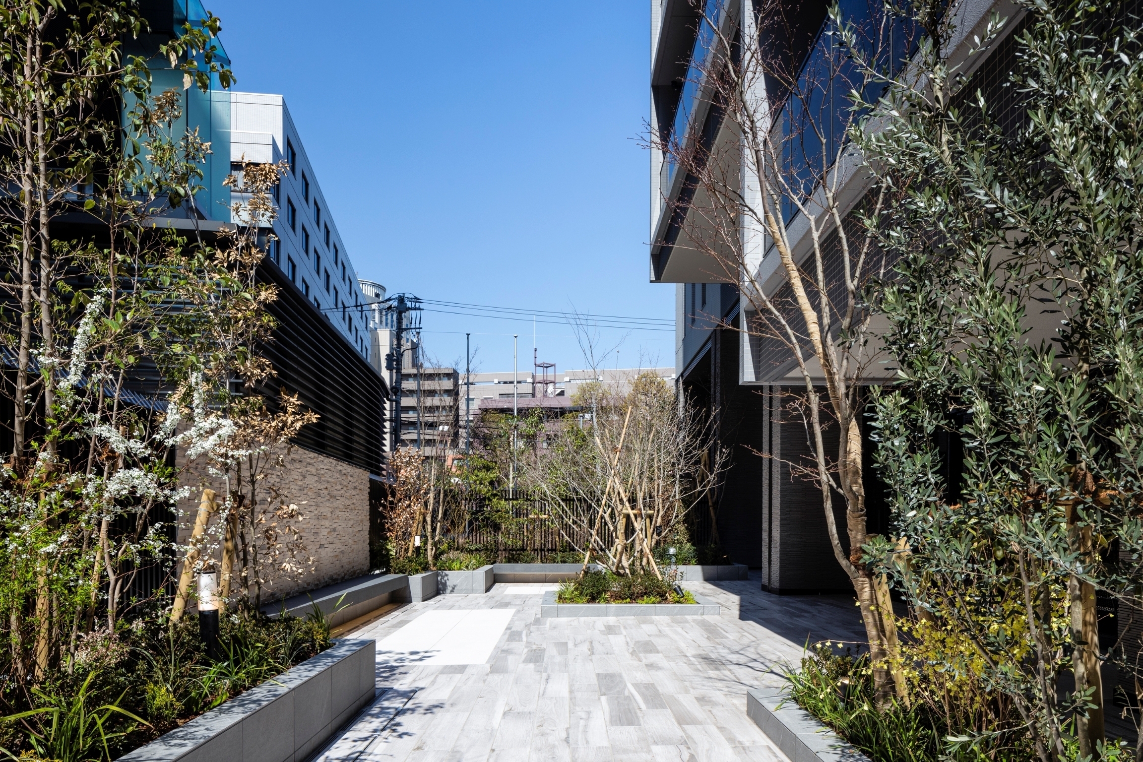 ザ・パークハウス恵比寿-h