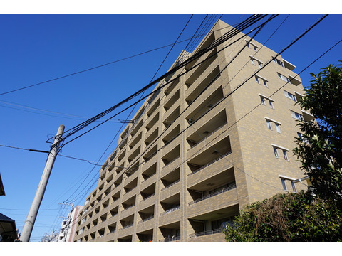 ブライトンヒルズ藤崎-h