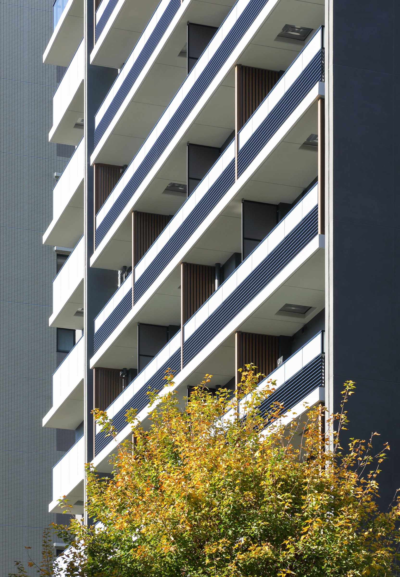 ザ・パークワンズ日本橋人形町-h