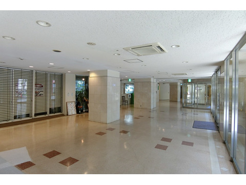 湯島ハイタウン-h