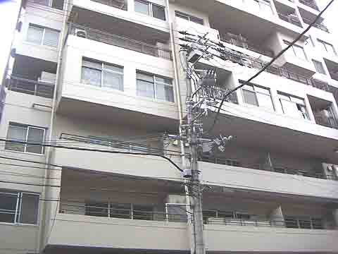 藤和老松コープ-0-0