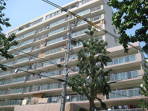 藤和しらさぎハイタウン-0-0