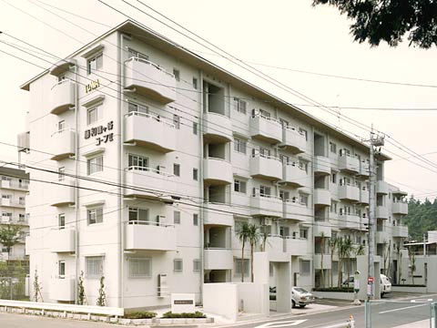 藤和鶴ヶ峰コープII-h