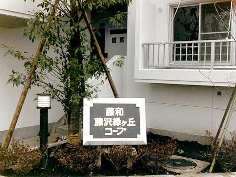 藤和藤沢緑ヶ丘コープ-h