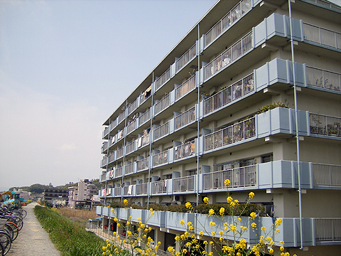 藤和ライブタウン桃山-0-0