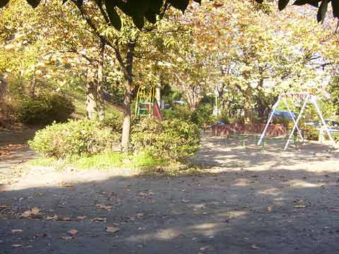 藤和ライブタウン東戸塚II-h