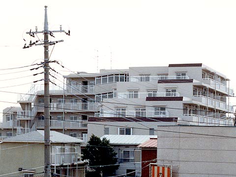 藤和松戸常盤平コープ-h