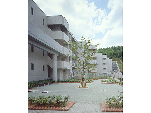 藤和ライブタウン新在家-h