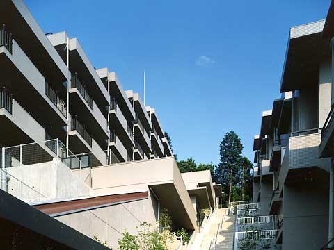 藤和ライブタウン綱島の丘-h