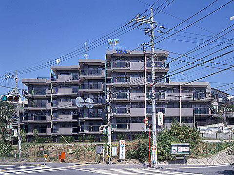 藤和シティコープ衣笠-0-0