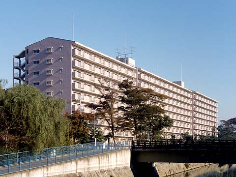 湘南サザン260-0-0