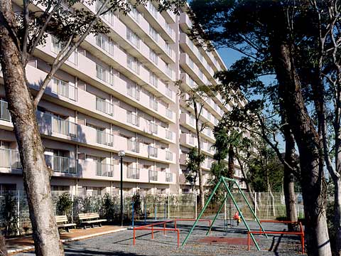 湘南サザン260-h