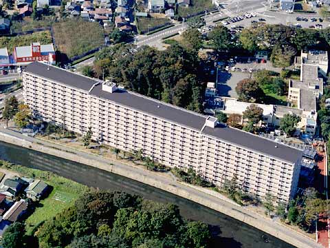 湘南サザン260-h