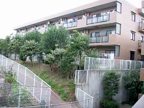 藤和ライブタウン松戸新八柱III-h