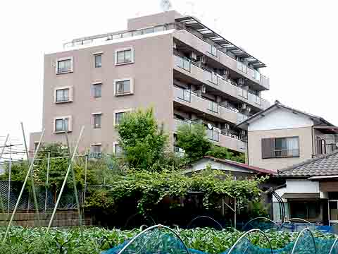 藤和シティコープ松戸小根本-h