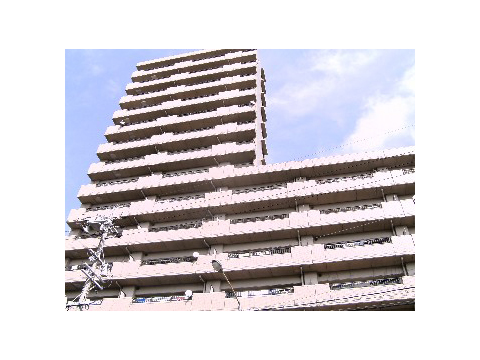 藤和シティコープ猫ケ洞-0-0