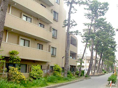 藤和シティホームズ習志野-h