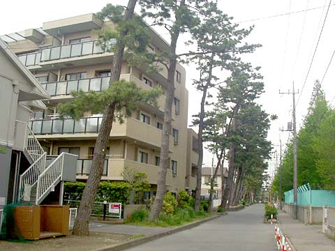 藤和シティホームズ習志野-h