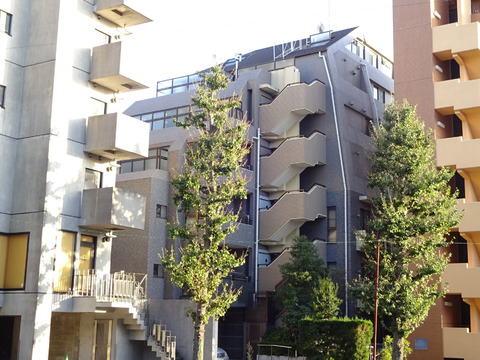 藤和シティホームズ等々力-h