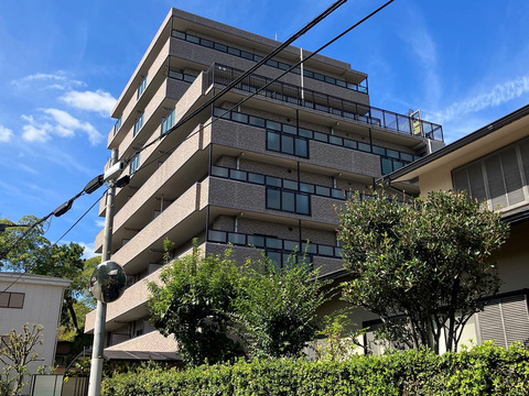 藤和シティホームズ夙川さくら道-h