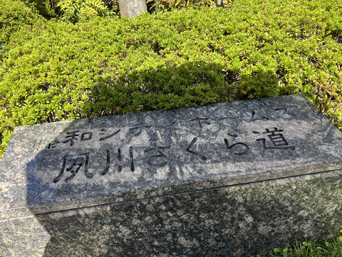 藤和シティホームズ夙川さくら道-h