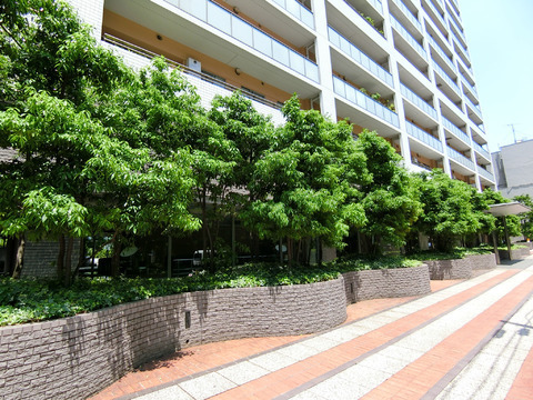 渋谷アインス-h