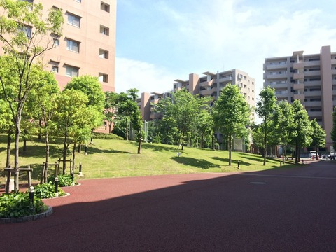 プライマルシティ-h