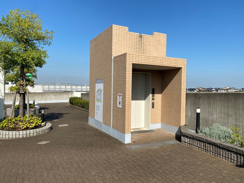 プライマルシティ-h