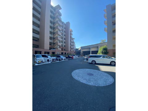 プライマルシティ-h