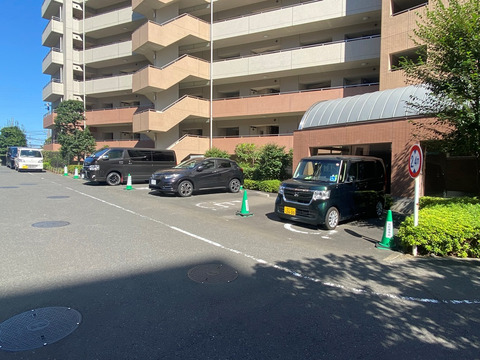 プライマルシティ-h