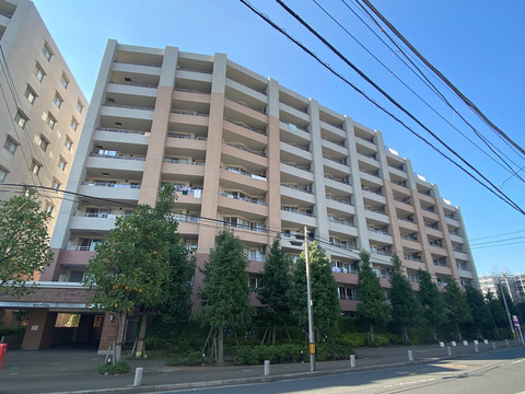 プライマルシティブリーズ・コート（C棟）-h