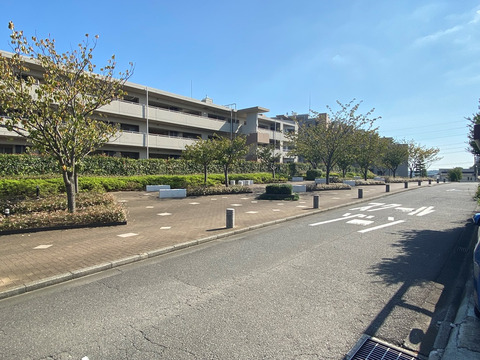 プライマルシティパークヴュー・レジデンス（D棟）-h