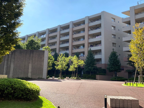 プライマルシティパークヴュー・レジデンス（D棟）-h