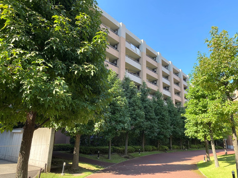 プライマルシティパークヴュー・レジデンス（D棟）-h