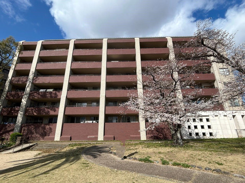 藤和池田ホームズステラコート-h