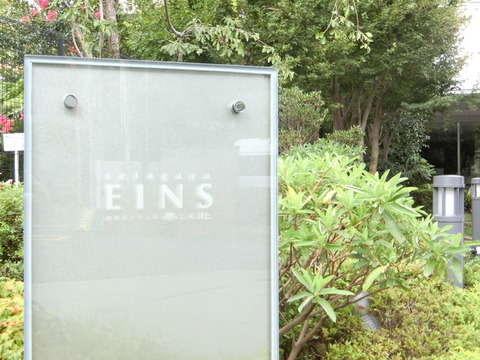 世田谷アインス美しの杜-h