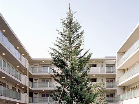 ディアプレイス中野野方-h