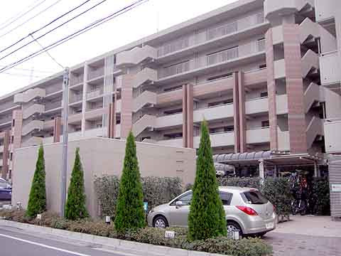 ディアパークス　グランサウスコート-0-0