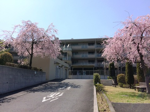 ブレスタージュ東戸塚-h