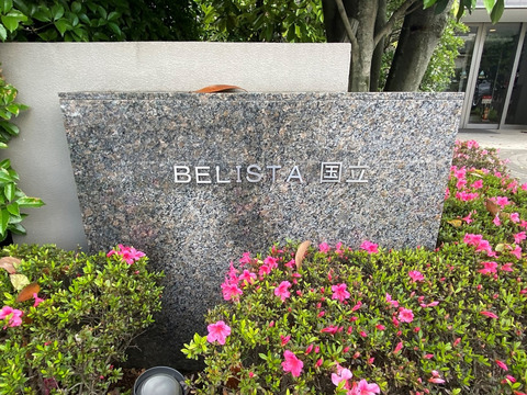 BELISTA国立-h