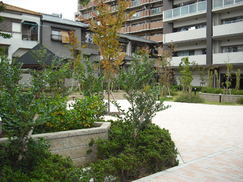 BELISTA喜連瓜破-h