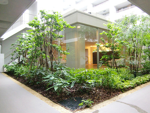 BELISTA板橋浮間舟渡-h