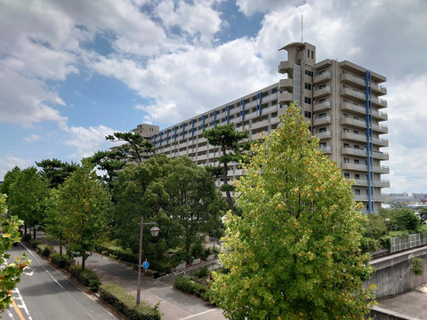 芦屋ハイタウン-h