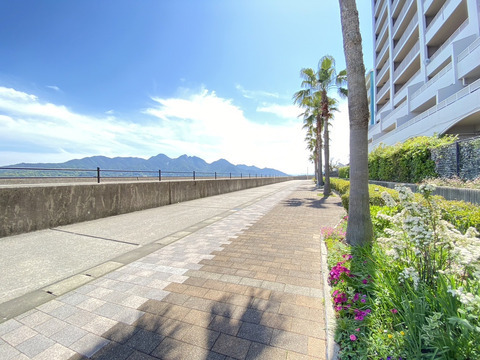 ナタリーマリナタウンウエストデッキ-h