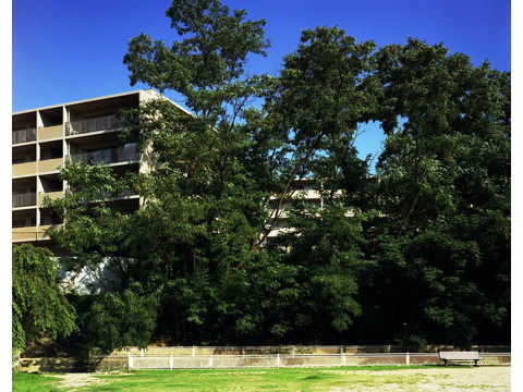 甲陽園アーバンライフ　サウスヒルズ-h